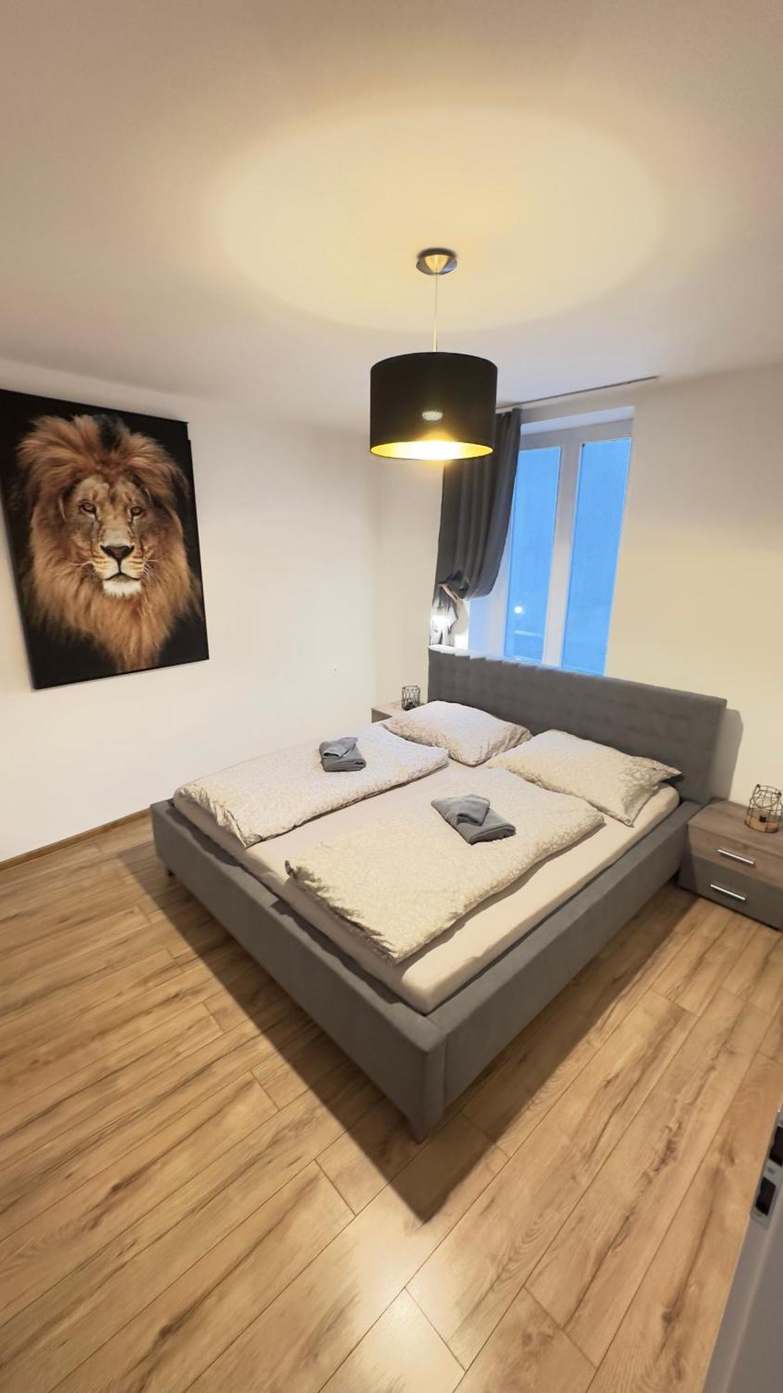 Apartman Vita Deluxe Тренчин Екстер'єр фото